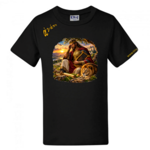 #4169 KING DAVID